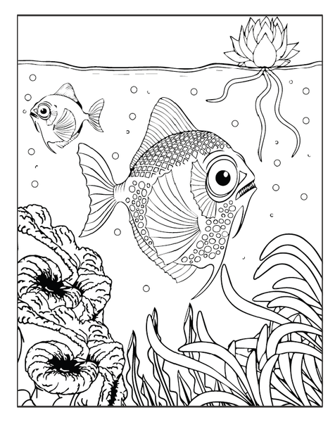 Sea Life Poster 7