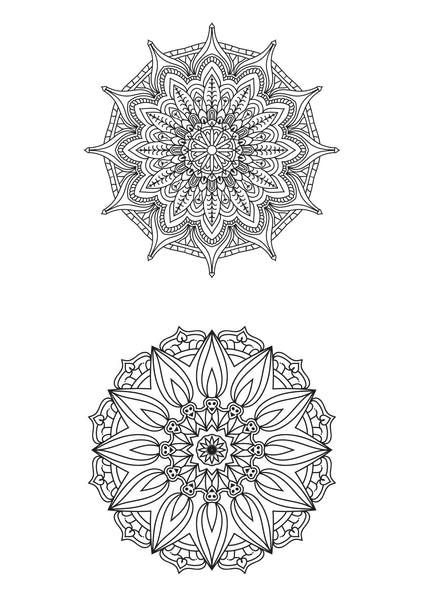 Mandala Poster 533