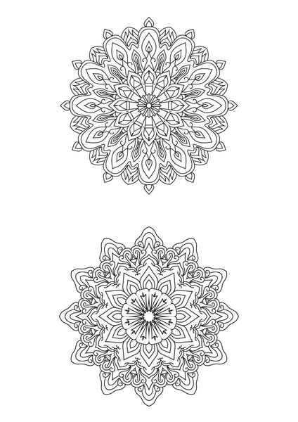 Mandala Poster 537