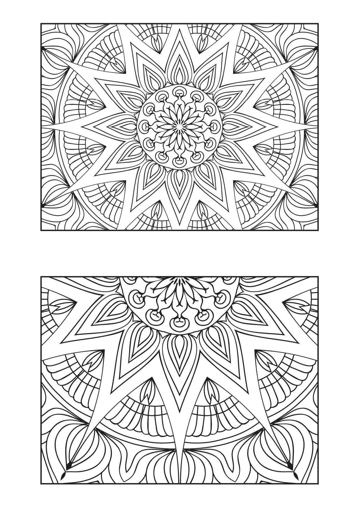 Mandala Poster 542