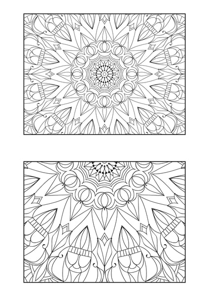 Mandala Poster 543