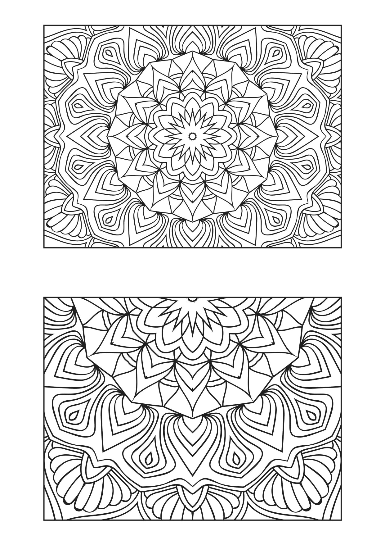 Mandala Poster 548