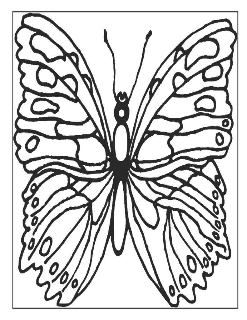 Butterfly Poster 1